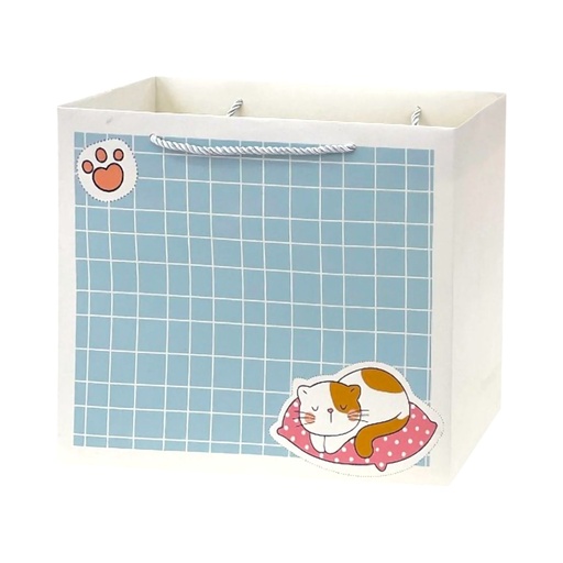 Fury Fun Large Gift Bag Blue