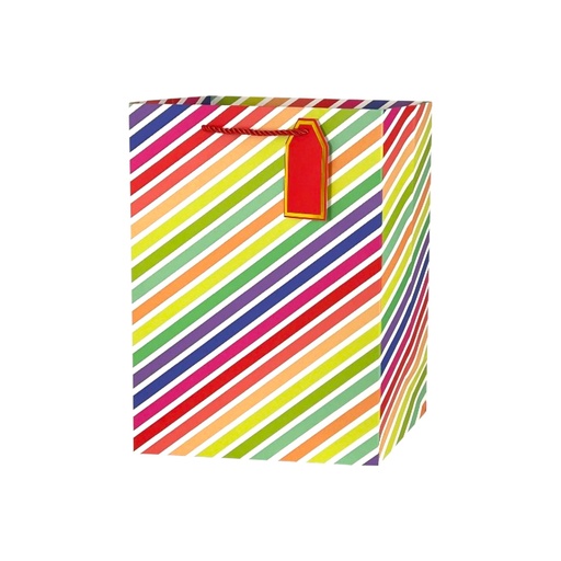 Rainbow Party Medium Gift Bag Stripe