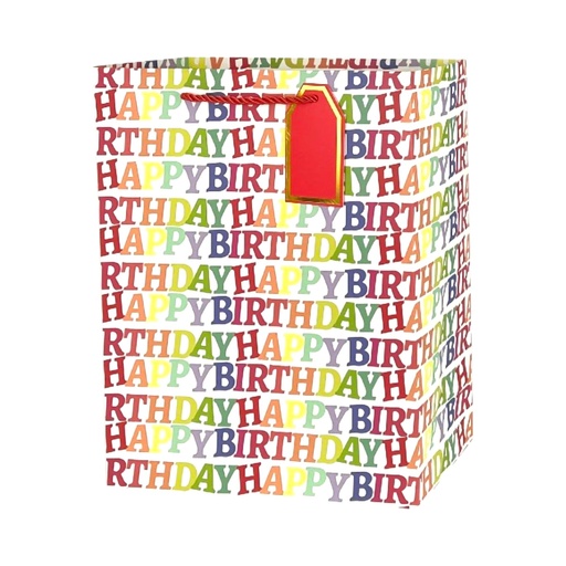 Rainbow Party Large Gift Bag HBD