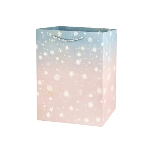 Sparkle Medium Gift Bag Pink/blue