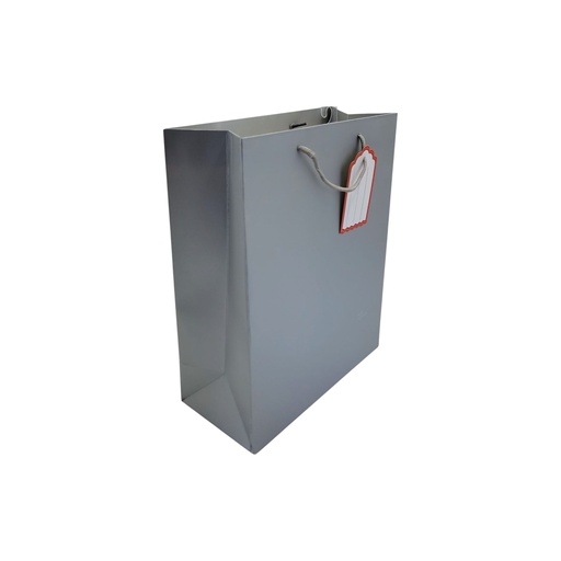 Craft Medium Gift Bag Silver