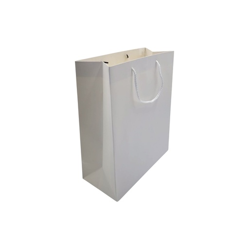 Craft Medium Gift Bag white
