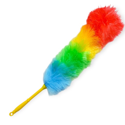 House Duster 