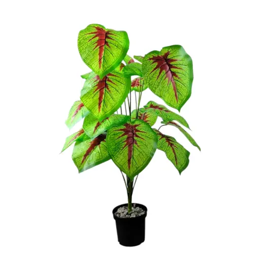 Large House Tropical Plant with Planter