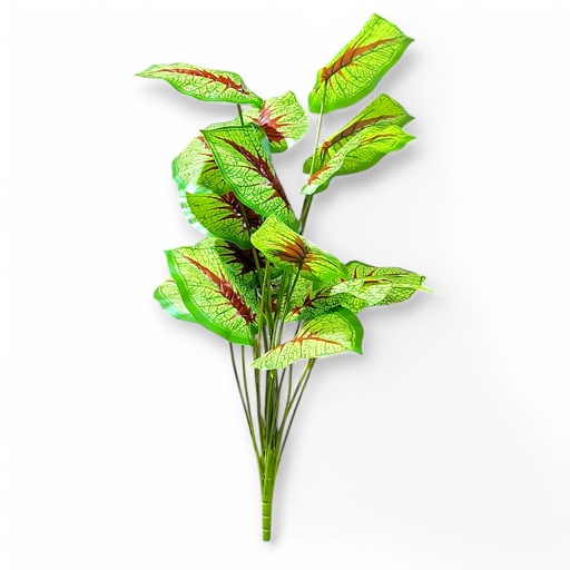 Large House Tropical Plant