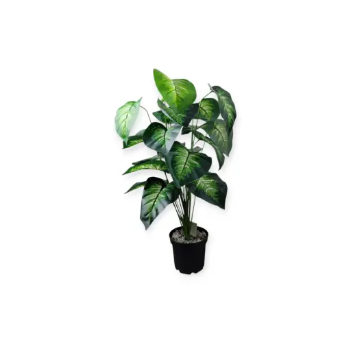 Large House Tropical Plant with Planter