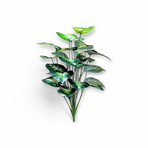 Large House Tropical Plant