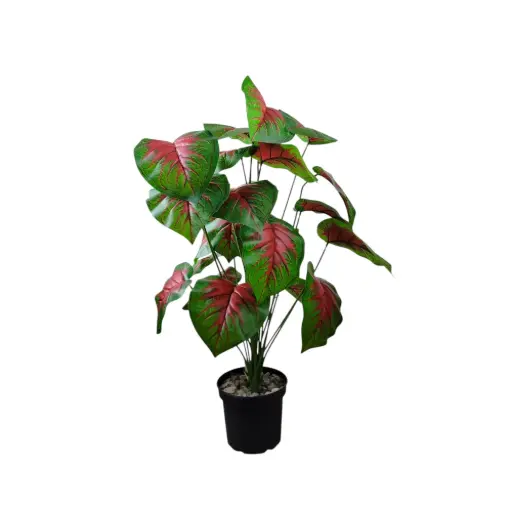 Large House Tropical Plant with Planter