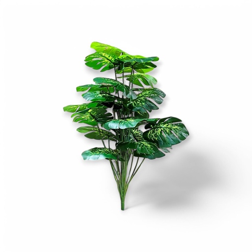 Large House Tropical Plant