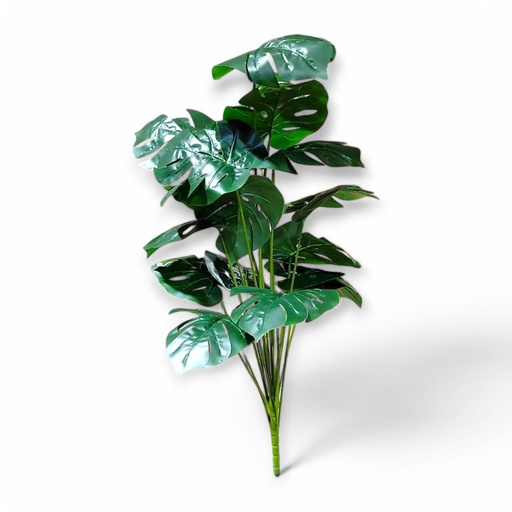 Large House Tropical Plant