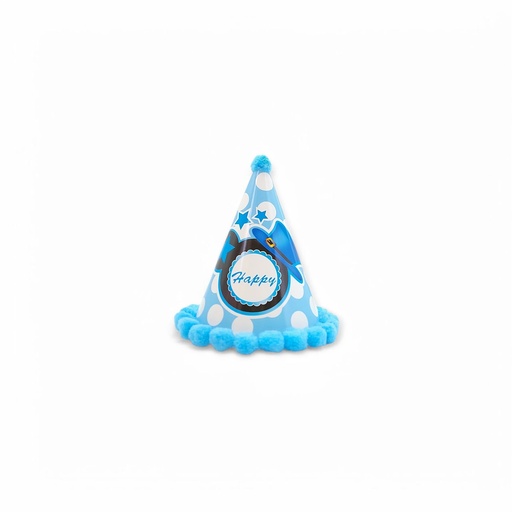 Pompom HBD Hat Blue Hats