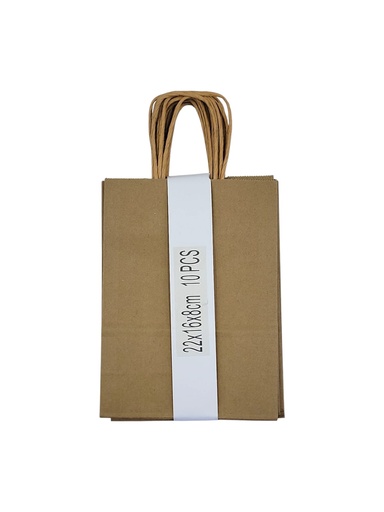 Medium 10 pcs Craft Paper Gift Bag Brown (22*16*8cm/ 8.66 × 6.30 × 3.15 in)
