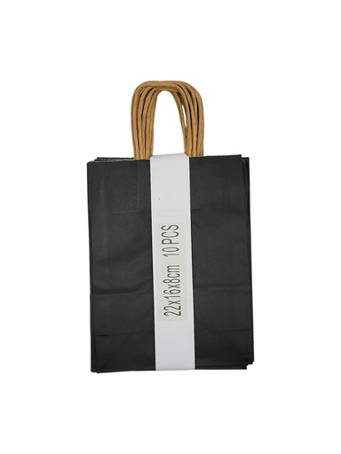 Medium 10 pcs Craft Paper Gift Bag Black (22*16*8cm/ 8.66 × 6.30 × 3.15 in)