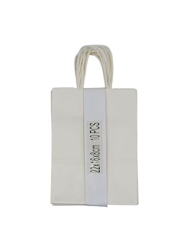 Medium 10 pcs Craft Paper Gift Bag White (22*16*8cm/ 8.66 × 6.30 × 3.15 in)