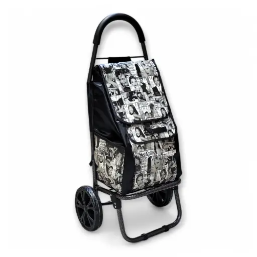 Fashion Shopping Trolley  Cart
