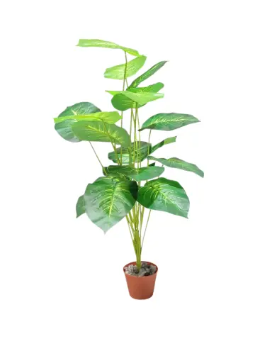 House Tropical Plant with Planter (3.42 Feet)