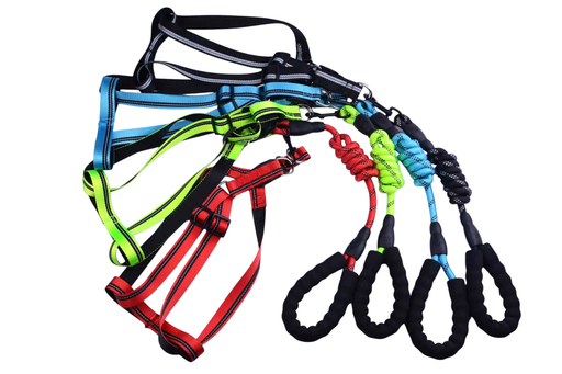 Dog leash 4.27 Feet (Domus)