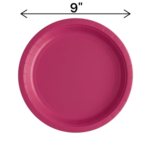 Fun Fiesta 16ct 9" Paper Plates, Fuchsia
